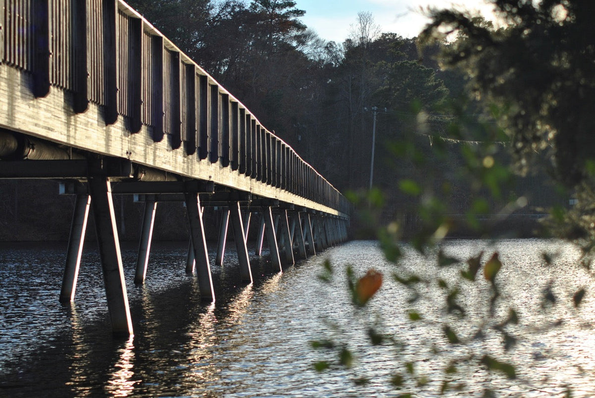 Things to do outside in Raleigh, NC