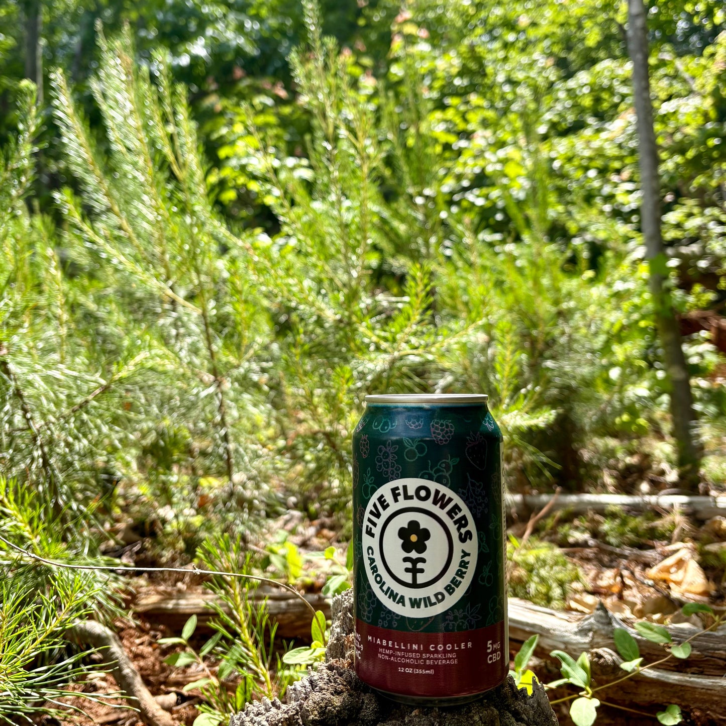 Carolina Wild Berry