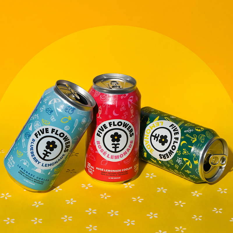 Lemonade Mix Splash Pack