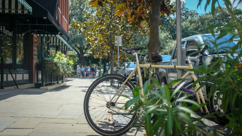 Savannah
